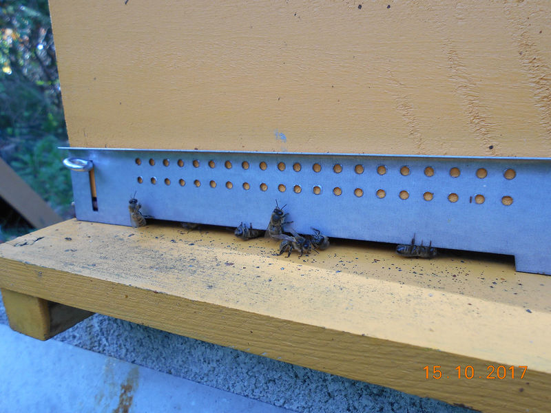 La ruche Trobas Vieilbuc